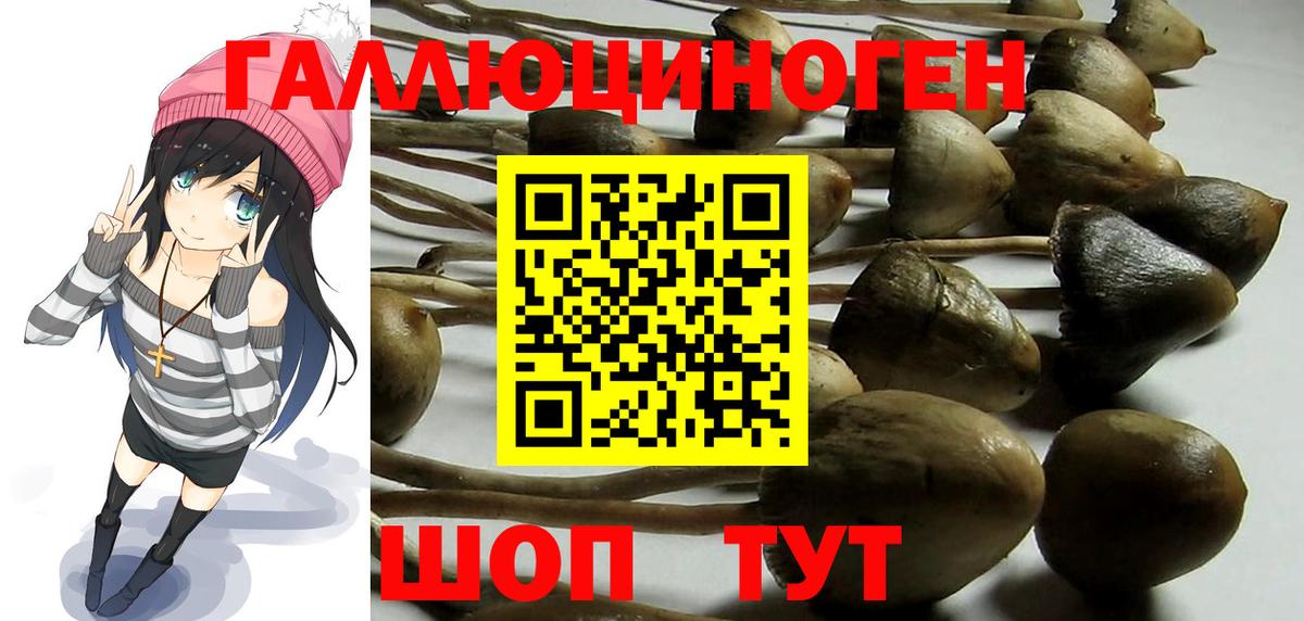 Псилоцибиновые грибы GOLDEN TEACHER Дубна