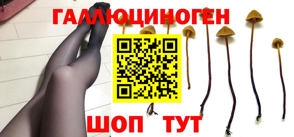 Галлюциногенные грибы прущие грибы  Галлюциногенные грибы мухоморы  Вход с VPN  Дубна 