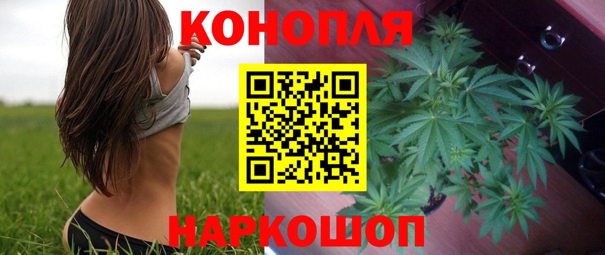 Бошки Шишки THC 21%  Вход с VPN  Дубна  Бошки Шишки план  Бошки Шишки семена 